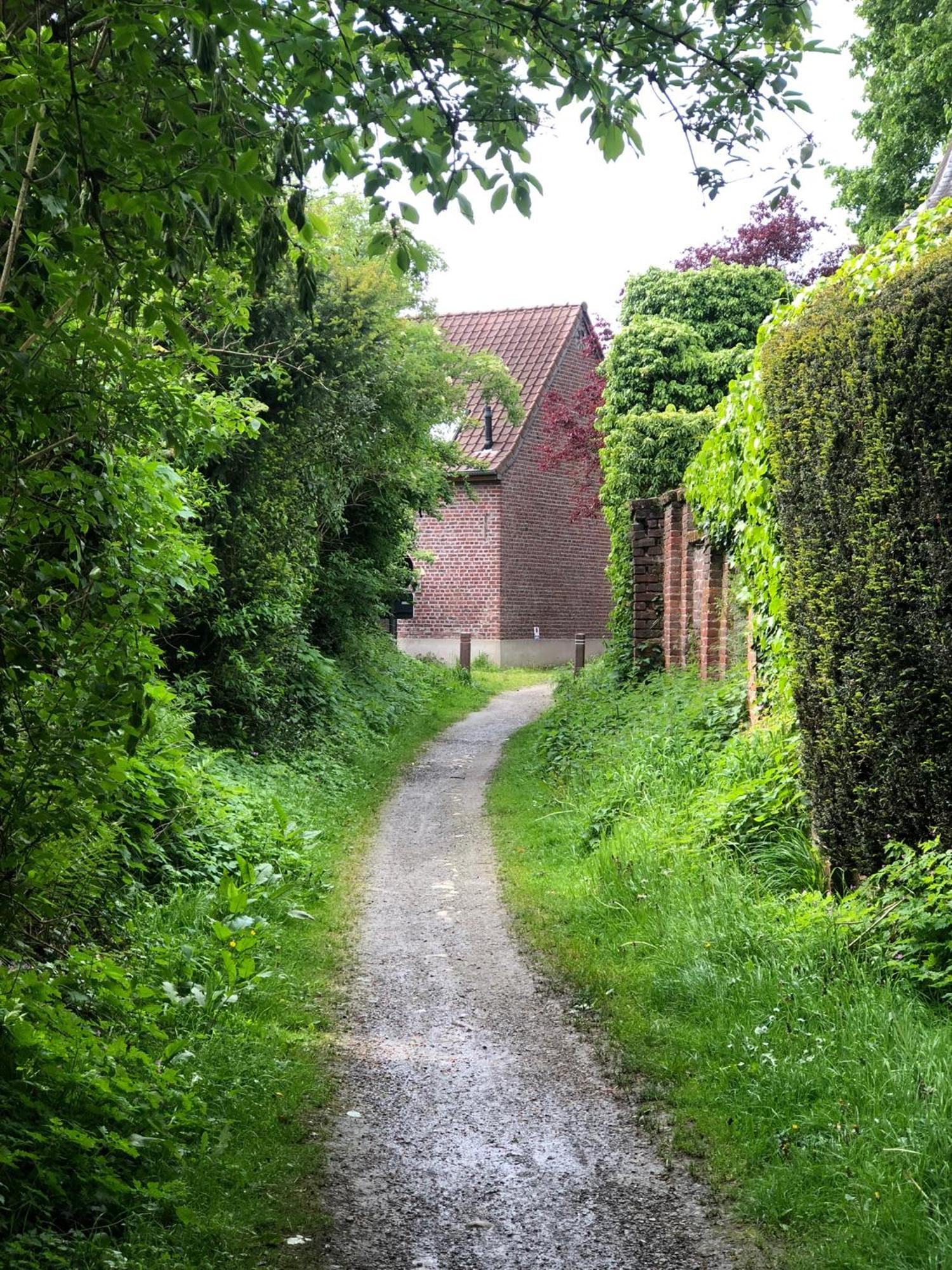 Nene Bed & Breakfast Dilbeek Eksteriør bilde